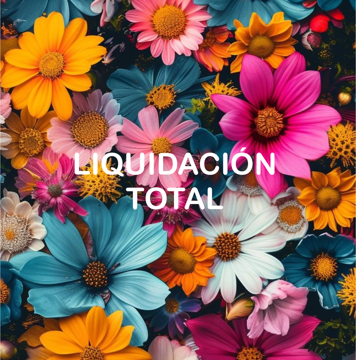 CAJA LIQUIDACIÓN TOTAL